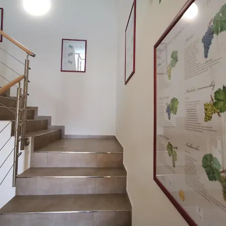 Comenius Moravus Vinarsky Dvur ميكولوف