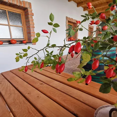 بيت ضيافة Comenius Moravus Vinarsky Dvur ميكولوف