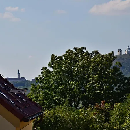 Comenius Moravus Vinarsky Dvur Maison d'hôtes 3*
