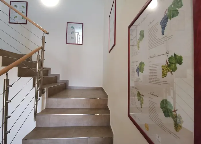 Comenius Moravus Vinarsky Dvur Mikulov